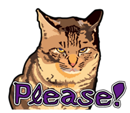 Cat will sticker #11116687