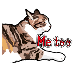 Cat will sticker #11116691
