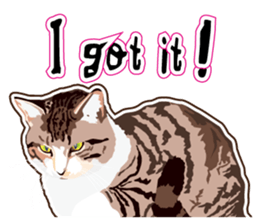 Cat will sticker #11116693