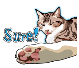 Cat will sticker #11116695