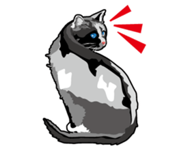 Cat will sticker #11116696