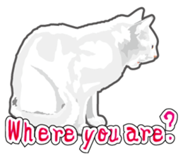 Cat will sticker #11116697