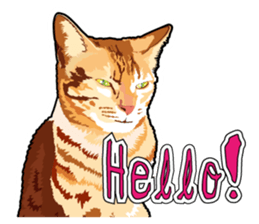 Cat will sticker #11116698