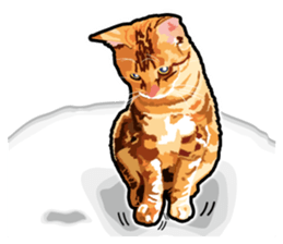 Cat will sticker #11116701