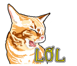 Cat will sticker #11116703