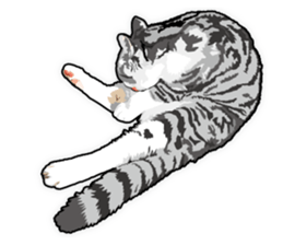 Cat will sticker #11116704