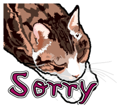 Cat will sticker #11116705