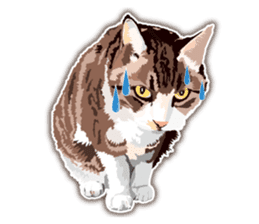 Cat will sticker #11116706