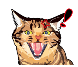 Cat will sticker #11116707