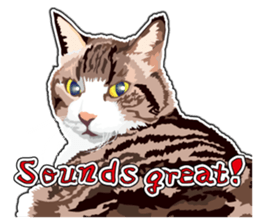 Cat will sticker #11116708