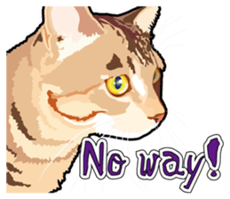 Cat will sticker #11116709