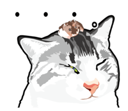 Cat will sticker #11116710