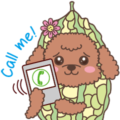 The fabulous world of red poodle- GuaGua