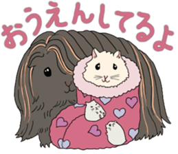 Pretty Hams go to Kumamoto Japan sticker #11121917