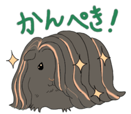 Pretty Hams go to Kumamoto Japan sticker #11121919