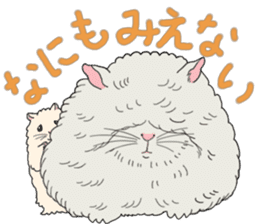 Pretty Hams go to Kumamoto Japan sticker #11121927