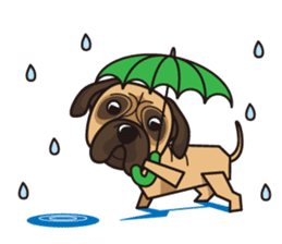 iinu - Bullmastiff sticker #11122575