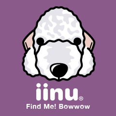 iinu - Bedlington Terrier