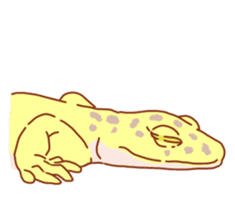 LeopardGecko sticker #11123573