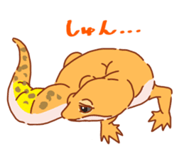 LeopardGecko sticker #11123590