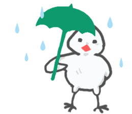 Go!Java sparrow sticker #11123608