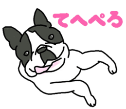 Tono is French Bulldog. sticker #11124778