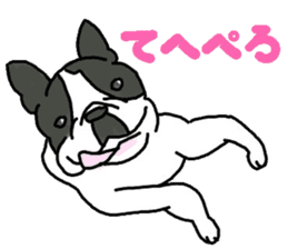 Tono is French Bulldog. sticker #11124778