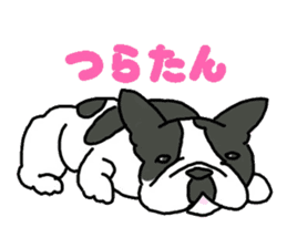 Tono is French Bulldog. sticker #11124780