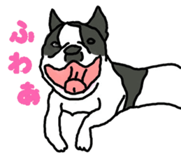 Tono is French Bulldog. sticker #11124781
