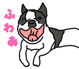 Tono is French Bulldog. sticker #11124781