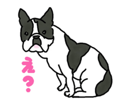 Tono is French Bulldog. sticker #11124783