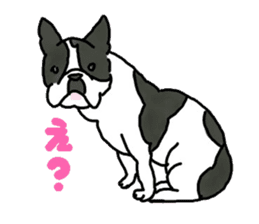 Tono is French Bulldog. sticker #11124783