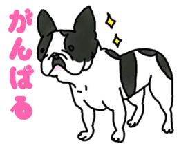 Tono is French Bulldog. sticker #11124785
