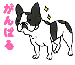 Tono is French Bulldog. sticker #11124785