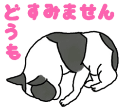 Tono is French Bulldog. sticker #11124786