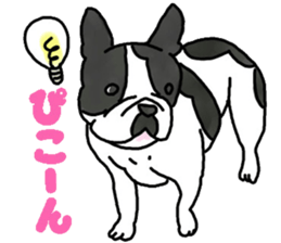 Tono is French Bulldog. sticker #11124788