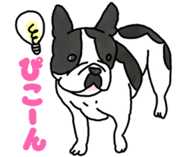 Tono is French Bulldog. sticker #11124788