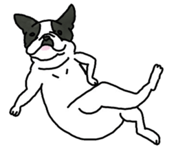 Tono is French Bulldog. sticker #11124789