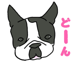 Tono is French Bulldog. sticker #11124790