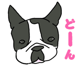 Tono is French Bulldog. sticker #11124790
