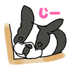 Tono is French Bulldog. sticker #11124791