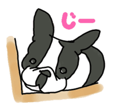 Tono is French Bulldog. sticker #11124791