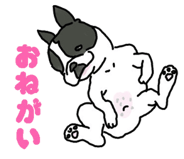 Tono is French Bulldog. sticker #11124792