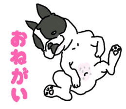 Tono is French Bulldog. sticker #11124792
