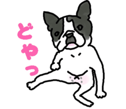 Tono is French Bulldog. sticker #11124793