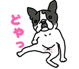 Tono is French Bulldog. sticker #11124793
