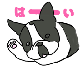 Tono is French Bulldog. sticker #11124796