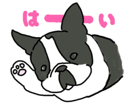 Tono is French Bulldog. sticker #11124796