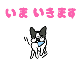 Tono is French Bulldog. sticker #11124797