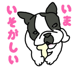 Tono is French Bulldog. sticker #11124801